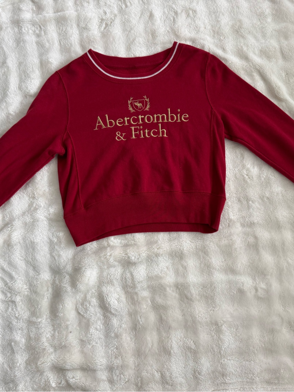 Abercrombie & Fitch Red Embroidered Logo Cropped Crewneck Sweatshirt S - Picture 3 of 8